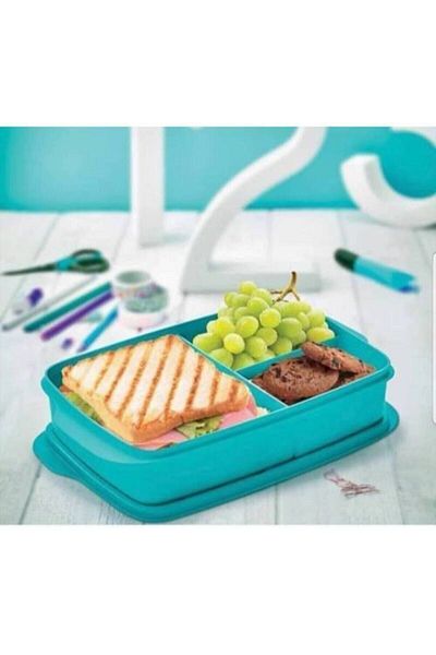 Tupperware Nutrition Bowl with Partitions