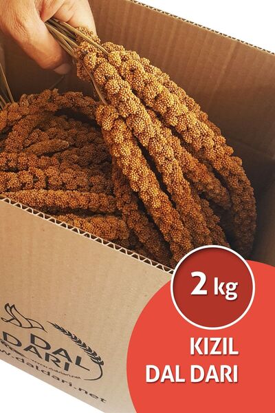Dal Darı Net Kızıl Dal Darı 2 Kg