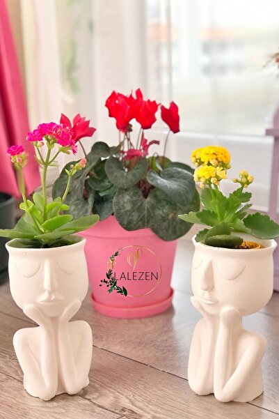 LALEZEN Düşünen Adam 2'li Saksı