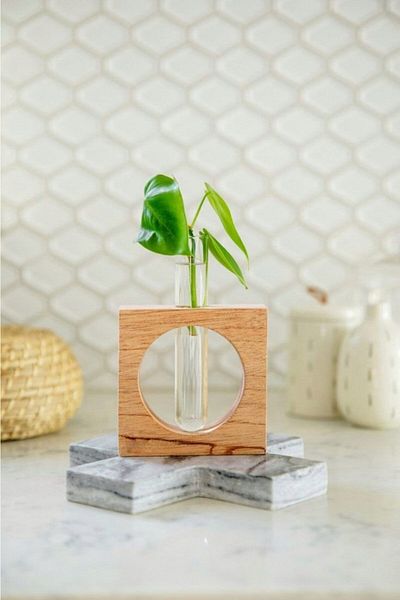 LALEZEN HOME Γυάλινο Μίνι Βάζο Γλάστρα Σωληνάριο Βάζο με Τετράγωνη Ξύλινη Βάση
