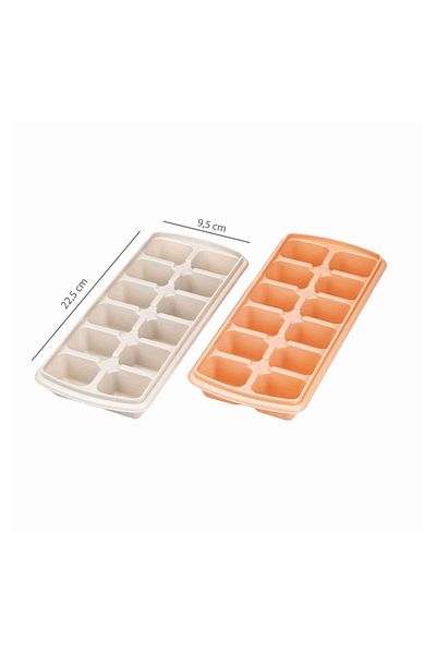 Sunplast 12 Piece Ice Mold (2 Pieces)
