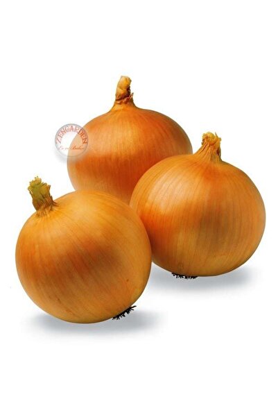 ZENGARDEN EV VE BAHÇE Tatlı ispanyol soğan tohumu geleneksel onion sweet span...