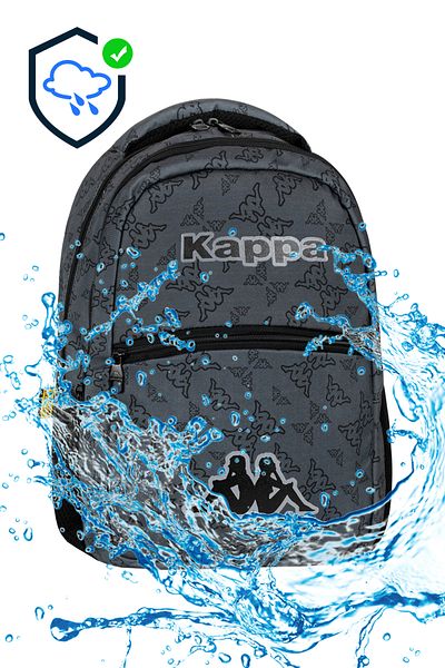 Bliss Ergonomic Licensed School Bag - Durable Material, Waterproof Design
