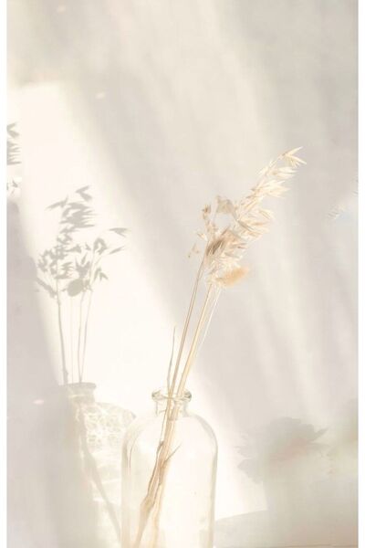 LALEZEN HOME 100ml Mini Şeffaf Vazo