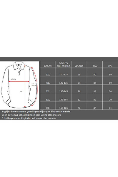 montecarlo Plus Size Polo Collar Long Sleeve Sweatshirt