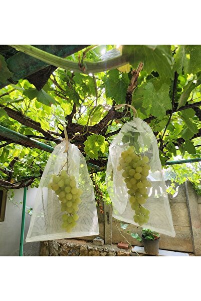 Keselerimiz 20/30 100 ADET ÜZÜM KORUMA TORBASI NORMAL SALKIM BOY İÇİN.