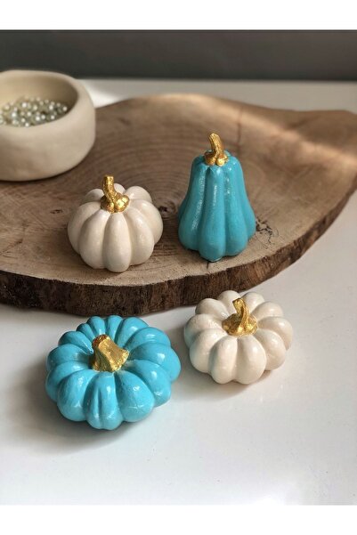 Bautinq Store Kabak 4 Lü Set Gökyüzü Mavisi