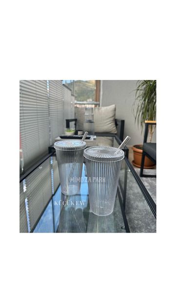 KÜÇÜK EW MICA 2 Pieces 600 Ml Origami Style Mica Glass with Mica Lid and Straw | Presentation Glass Soft Drink Glass