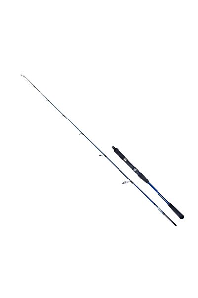 RYUJI STROBE II 1.68M 80-170GR 2P JIG KAMIŞ