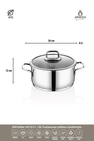 Amboss Ocean 4-6 Litre Matik Düdüklü Tencere Seti (ROSE)