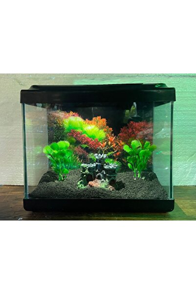 Fauna Pet Supplies 30cm Işıklı Akvaryum (KARIŞIK RENK) (AKSESUAR SETİ HEDİYELİ)