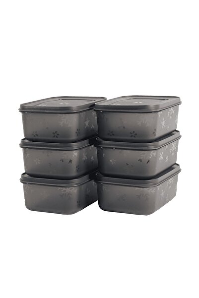 Turnberry 6 Pieces No Frost Cold Resistant Deep Freezer Breakfast Storage Container 0.67 Liters