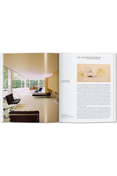 Taschen Mies Van Der Rohe 1886-1969: The Structure of Space - Basic Art Series 2.0