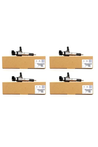 PSA Enjektör Euro 5 1.6 Hdi Dw6c 9802448680