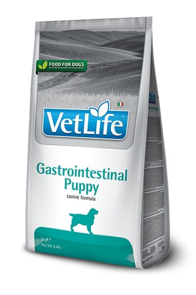 VETLİFE Vetlife Gastrointestinal Puppy Köpek 2 Kg