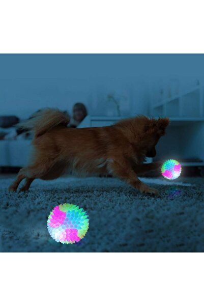 Modo Di Bellezza Işıklı Köpek Topu Karanlıkta Parlayan Kediler, Köpekler için İnteraktif Evcil Hayvan Oyuncağı