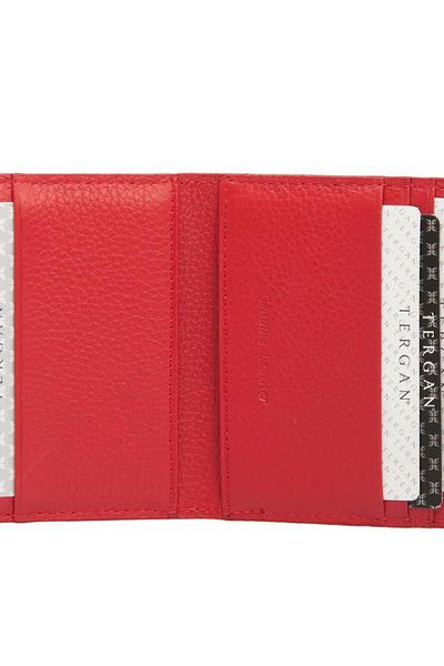Tergan 1617 Credit Card Holder