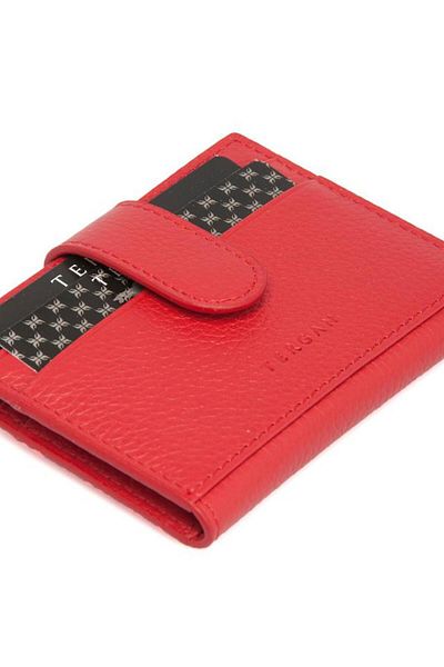 Tergan 1617 Credit Card Holder
