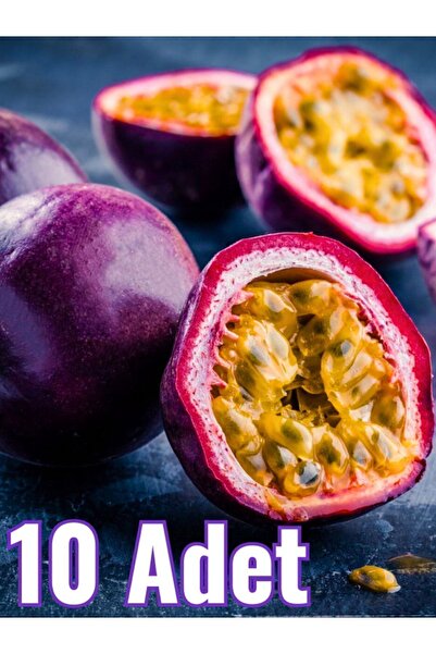 FidanBudur Çarkıfelek Meyvesi, 10 Adet Orta Boy, Pasiflora, Passion Fruit, Pa...