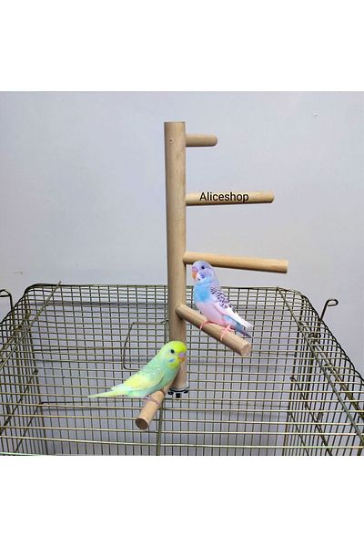aliceshop Cage Top Perch for Birds - Budgie, Bird and Sizes