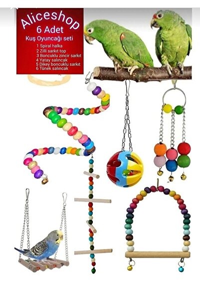 aliceshop Muhabbet Kuşu ve Boyutlarındaki Kuşlar için 6lı Oyuncak Seti