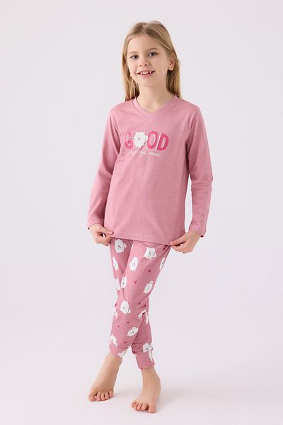 Arnetta Girl's Pink Long Sleeve Pajama Set