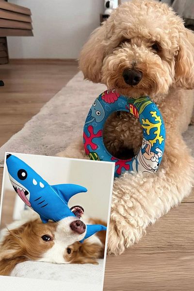 Havhav Plush SharK and Bagel Toy Set - Sound Seaside Paddles