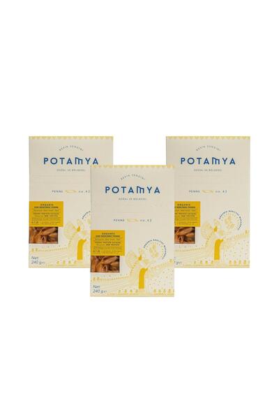 POTAMYA 240g Organik Glutensiz Sarı Mercimek Penne X3