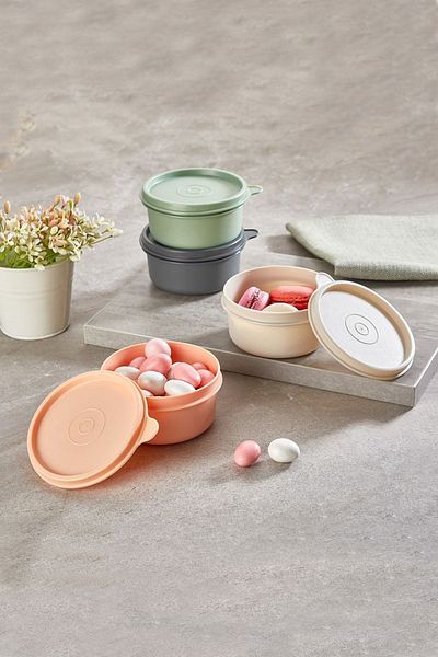 Sunplast Lock Me Mini Storage Container Set of 4 with Lid