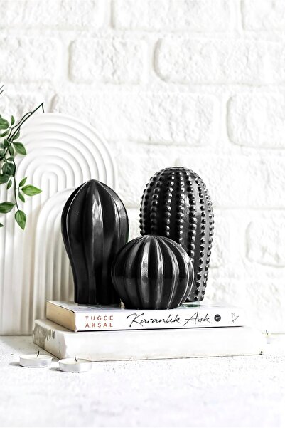 LALEZEN HOME Kaktüs 3lü Biblo