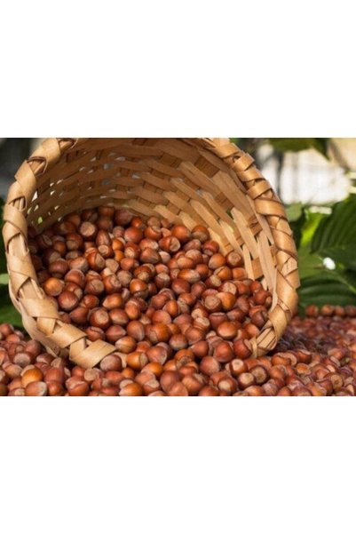 Genel Markalar Kabuklu Fındık 1. Kalite Giresun Ordu 50 Kg