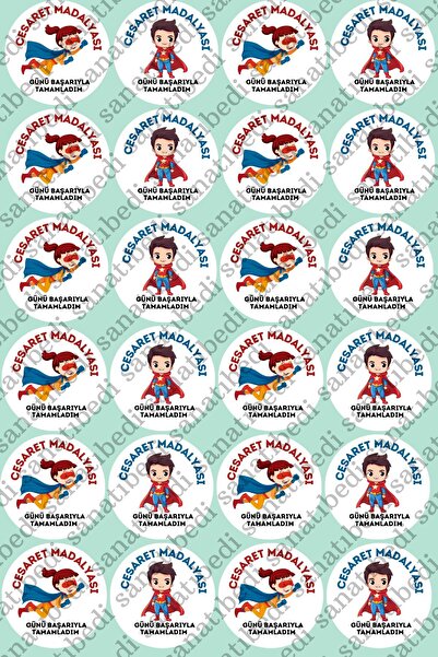 sanatıbedi 100 قطعة من ملصقات الملصقات المدرسية ذات طابع ميدالية الشجاعة