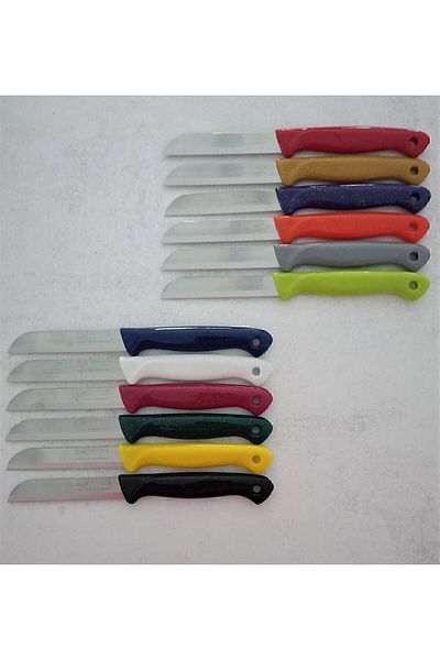 Solingen Fruit Vegetable Knife Mixed Color 12 Pcs