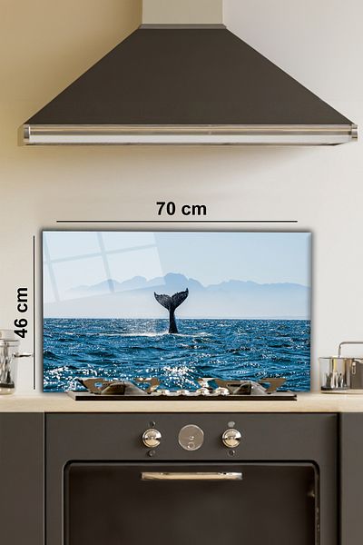 Rosyvien Blue Whale - Plită din sticlă, protecție pentru bucătărie încorporată și blat, temperată și rodaj
