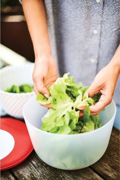 Tupperware Modern Salad Maker - Salad Dryer
