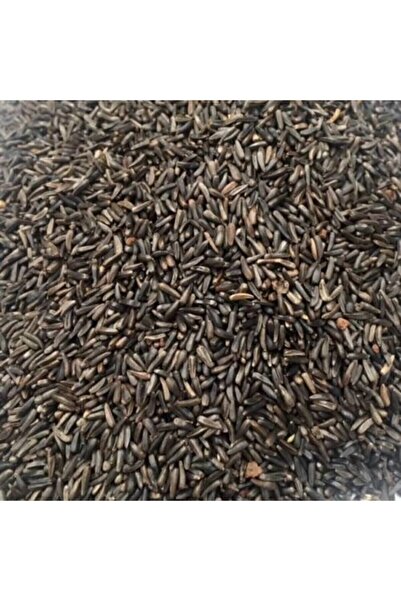 Genel Markalar Nijer Tohumu 250 Gr Kuşlar Için Nijer Tohum Yemi Kızıştırıcı Y...