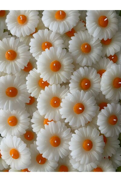 KeerS 24 Adet Dekoratif Hediyelik Papatya Mum