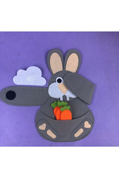 Montessori Kitap 2-3 Yaş Montessori Eğitim Kitabı Lila Tavşanlı Kapak Tasarım