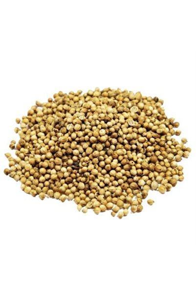 Kişniş Tane Açık 500 Gr