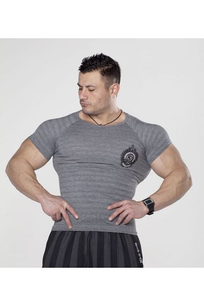 Big Sam Gray Slim Fit T-Shirt 2668