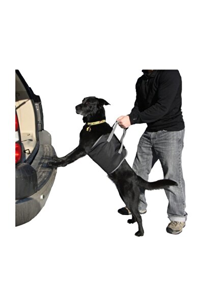 ModaCar Araç Arkası Köpek Koyma Aparatı