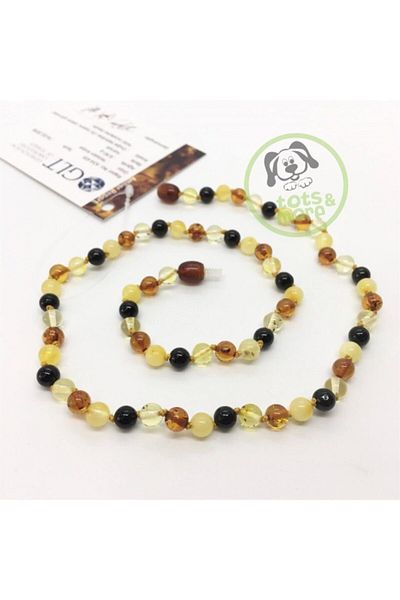 Totsandmore Mixed Color Amber Necklace - Full Round (6 Mm) Adult Size Official GLT Certified