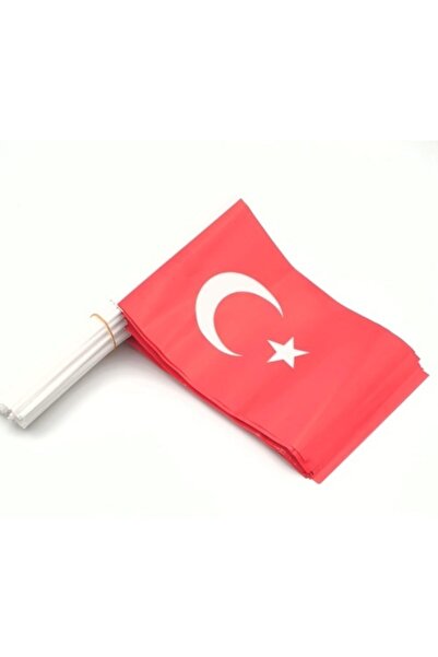 Genel Markalar Kağıt Bayrak Çubuklu 40 Adet ( 20 X 30 Cm Ebat ) Türk Bayrağı