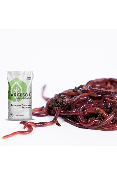 Genel Markalar Tarım 500 Adet Kırmızı Kaliforniya Kompost Gübre Solucanı Ve 2.5 Kg Fermente Solucan Maması