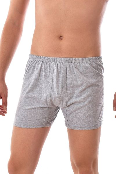 Seher Men's Gray Argentina Boxer 6 Pieces