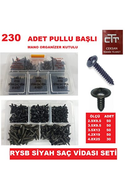 CEKSAN Sac Vidası Seti 230 Adet Siyah Pullu Başlı Rysb