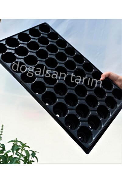 Doğalsan Tarım Fide Viyolü 45 Göz 10 Adet Fide Viyol Fide Viyolleri Fide Yeti...