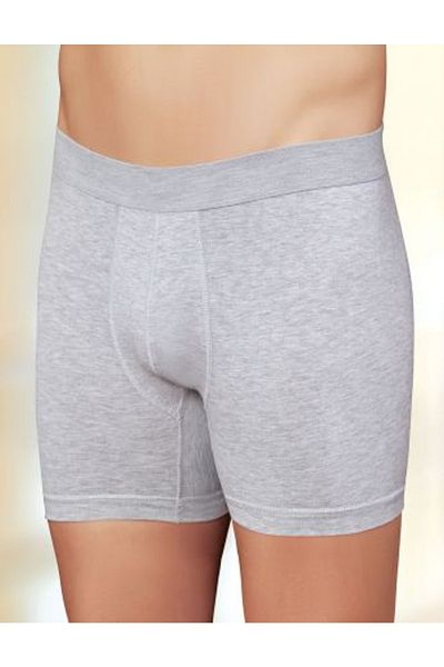 Şahinler Lycra Men's Boxer Gray New Season