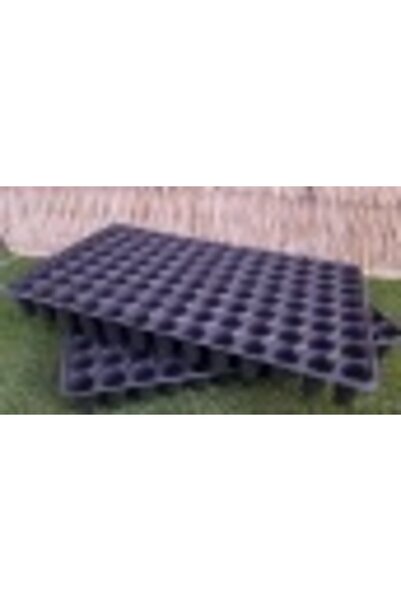 Asenya Fide Viyolü 104 Göz 5 Adet Fide Viyol Fide Viyolleri Fide Yetiştirme K...