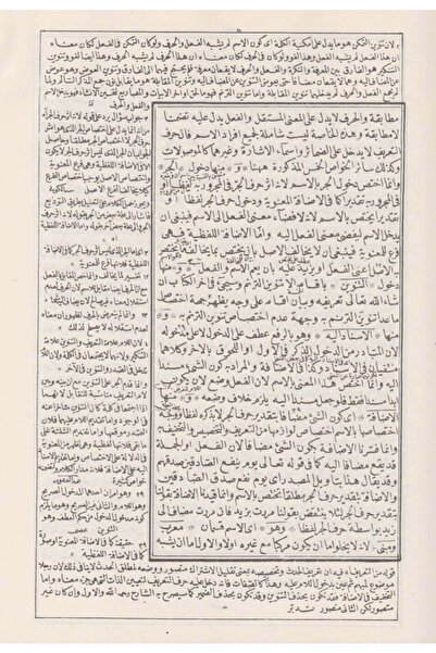 Haşimi Yayınevi El Fevaidüd Dıyaiyye (Molla Cami) (Just Like Basım)